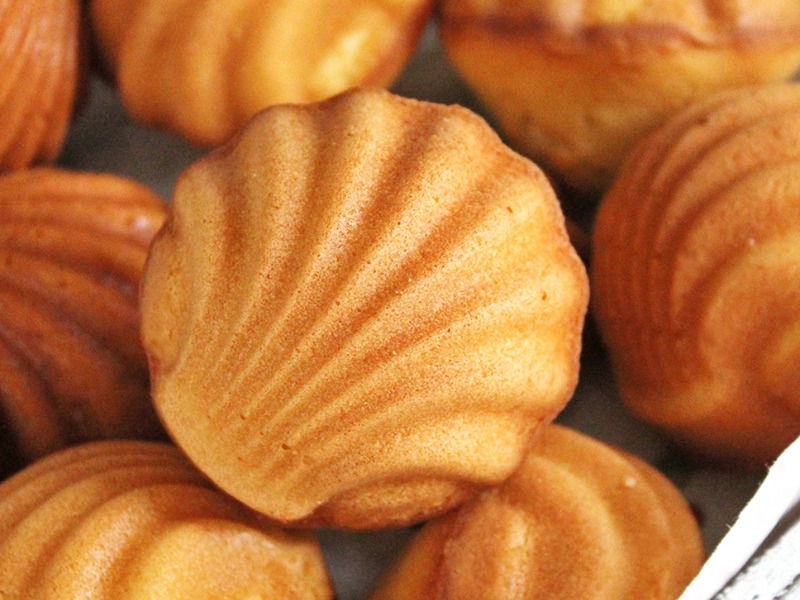 Chef Gusto · 上新 · 香草玛德琳蛋糕 Vanilla Madeleines
